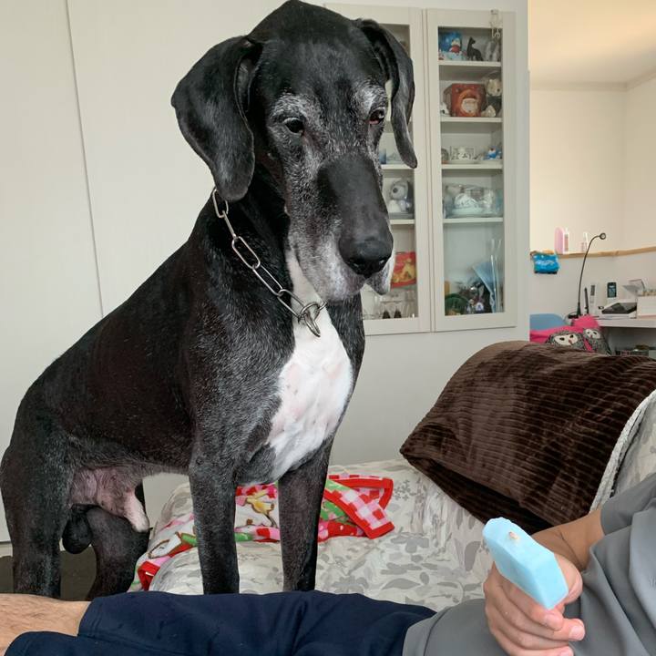 F7b406d3 fabd 432e 9a1e 8de11063f625 1589685672080