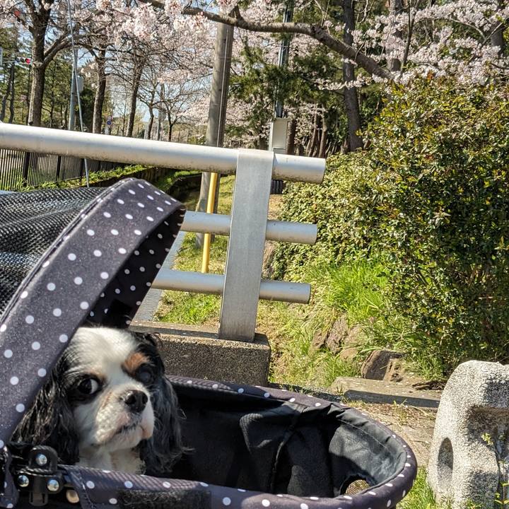 F7b43448 f148 47f3 9ccc 5de406cb653d 1713188071019