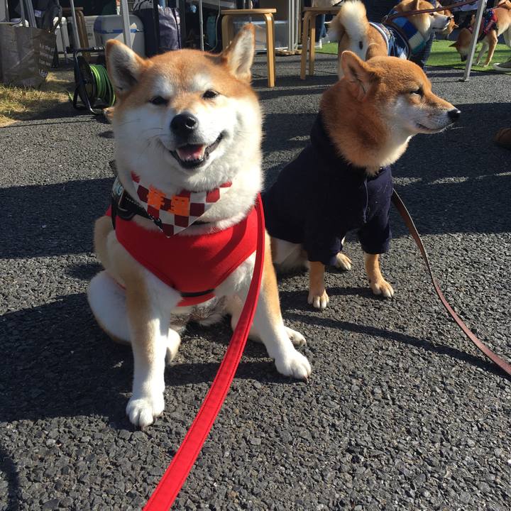 F7b45c25 e1f4 472e a658 f7846f3b7978 1575195480977