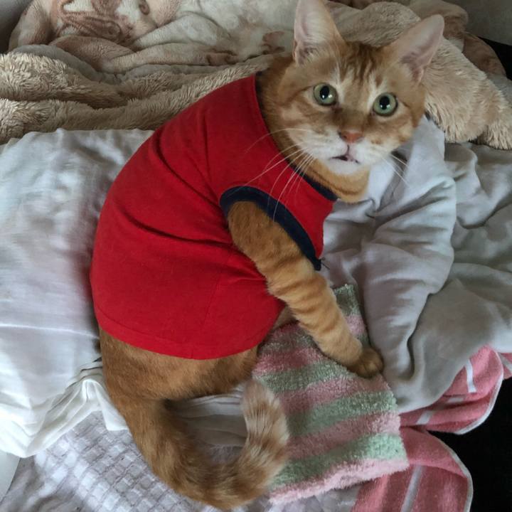 F7b470ad 7536 4e21 ba3b f9011b2e564b 1632385721932