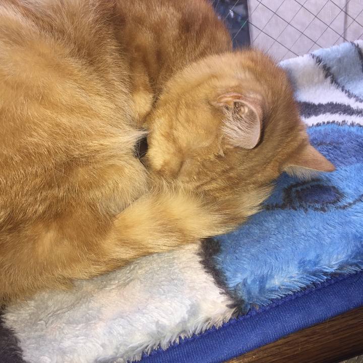 F7b49698 f364 481a 8f67 ffaa9e65166f 1548509111630