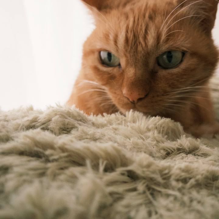 F7b498e1 f033 4f4a a386 3470d67e0b2f 1766035230675