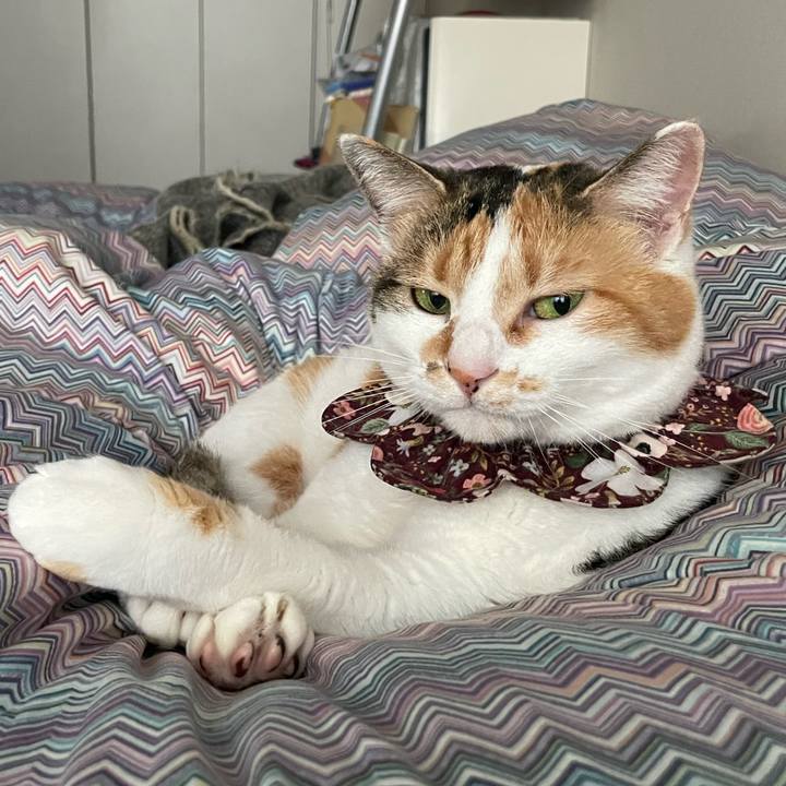 F7b4a2ae 1c47 4222 a9f7 13f57272beb5 1744587157730