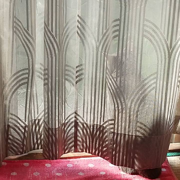 F7b4cea0 9911 4894 9ad4 b77d09d81b44 1682377483177