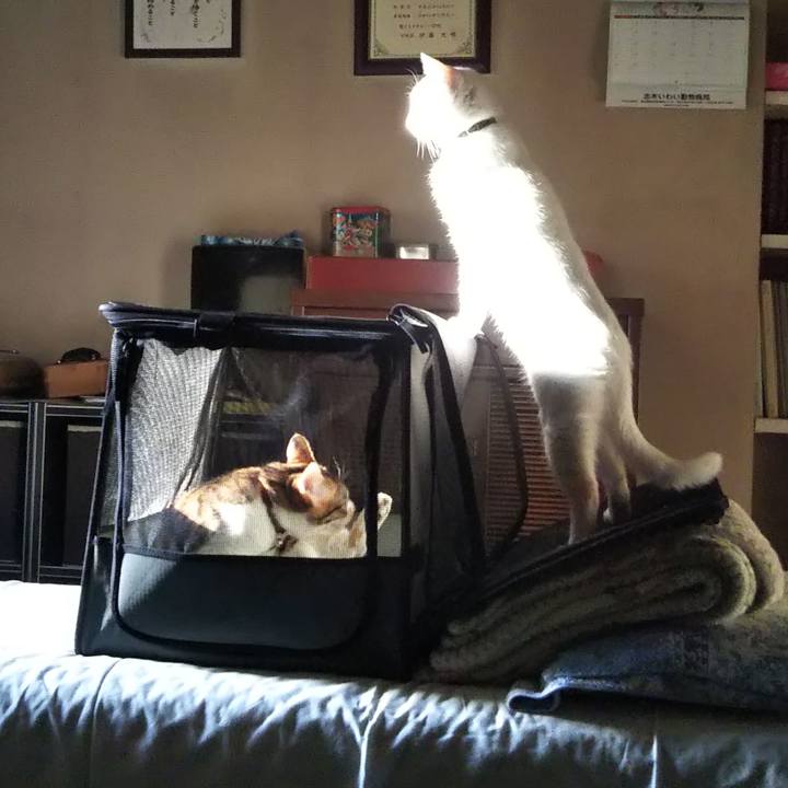 F7b4f096 7588 44f6 b852 70771fc5f9a5 1654686383233