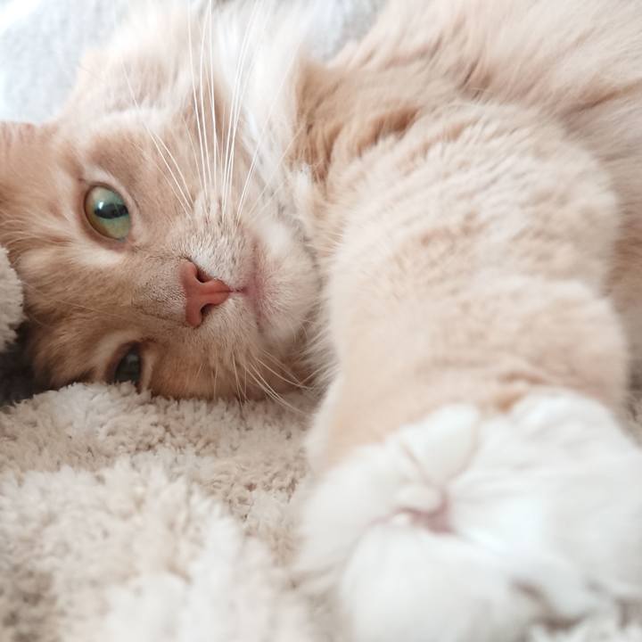 F7b4f6c2 b2fc 4e0f 9bfa 5f33857cc95b 1517739123660