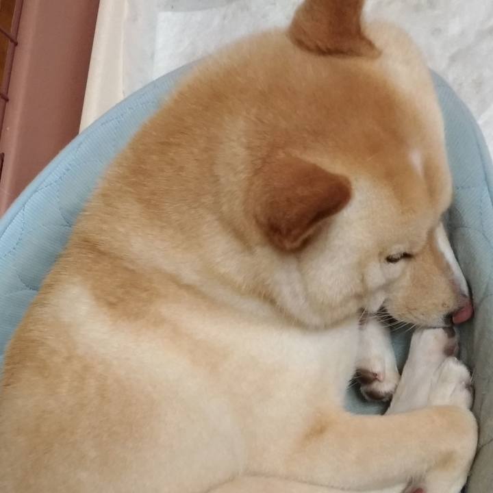 F7b53831 ef3e 4e17 9c93 e18c09b7a9a9 1561556412320