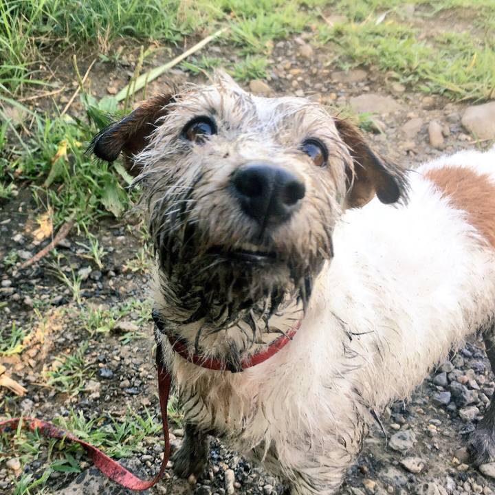 F7b56033 48ca 446e bfd2 9badbcf4f8bb 1534557402198