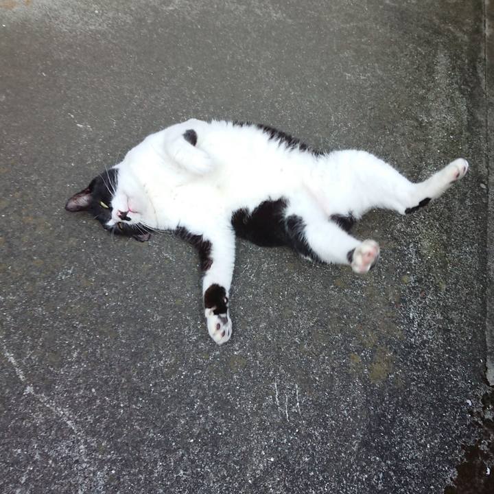 F7b56791 a510 4681 a4ac ca6c0c866701 1599609381856