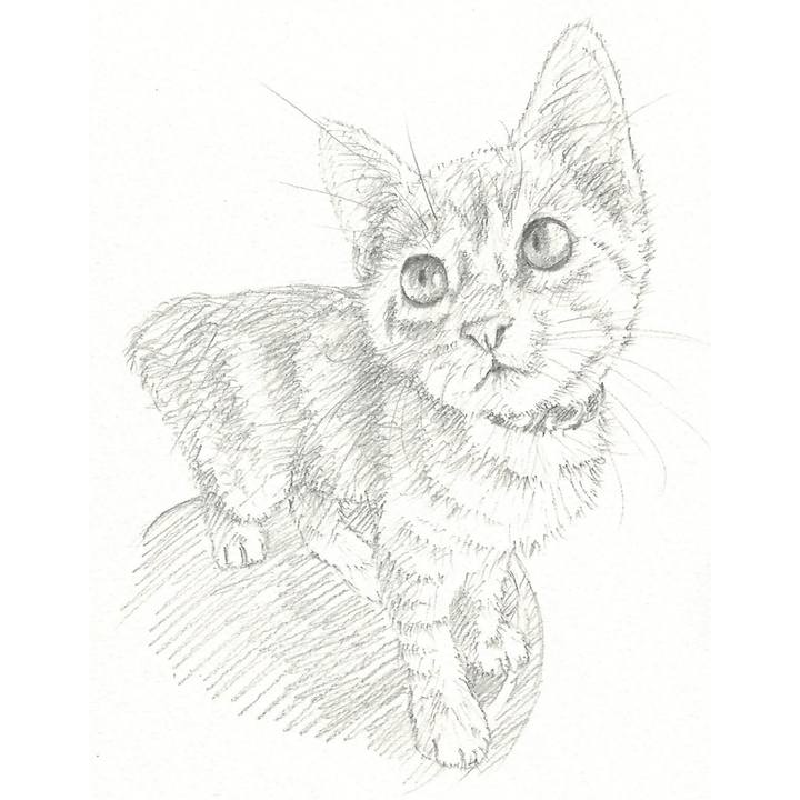 F7b56ea1 ffa1 4c72 a0c2 7110671f6700 1535193304295