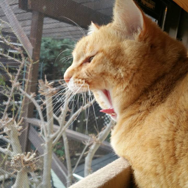 F7b57996 eb72 42f2 afab 1fd4668c88d8 1514084321851