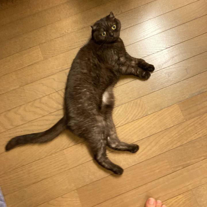 F7b59c53 6da3 4e60 8252 61ee1426111f 1632225235006