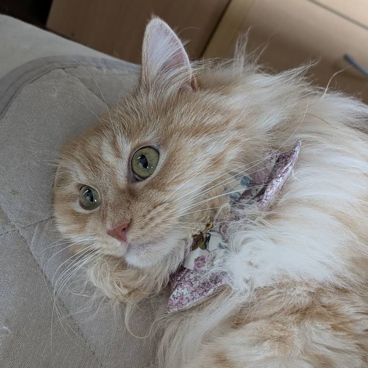 F7b5a132 33dc 4d19 b878 14b36b418b51 1750811143233