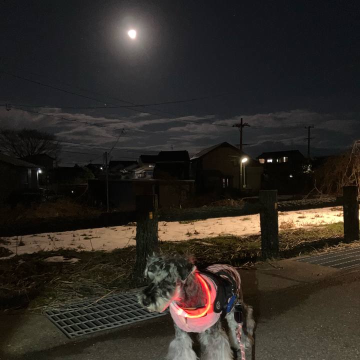 F7b5b43c a5a8 400a ba8d 4ecbab30d902 1736778312235