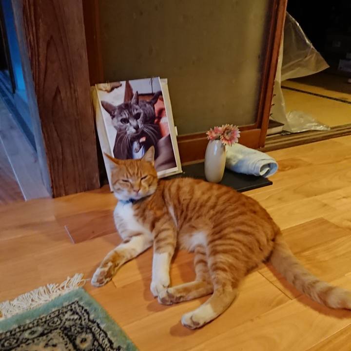 F7b5eeda 75ed 42e2 b219 55393165f18c 1601455630286