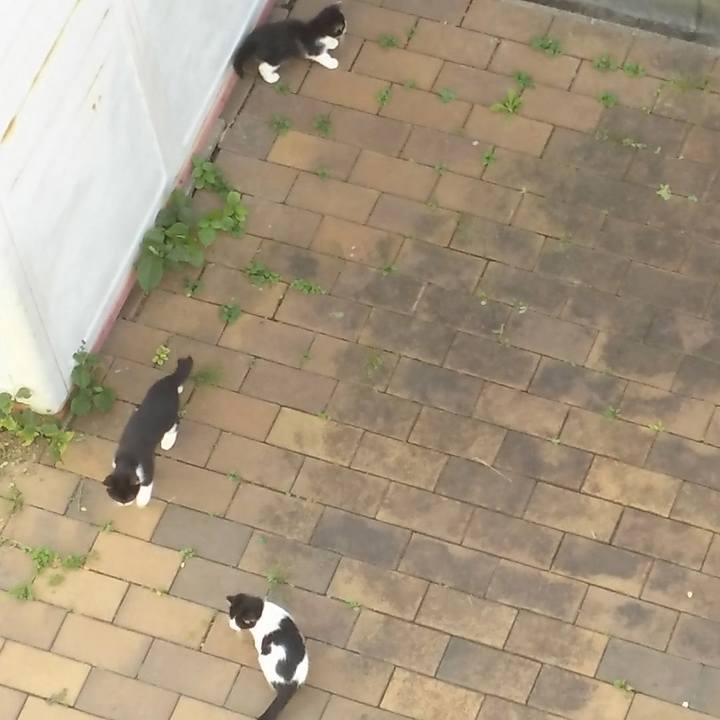 F7b5f428 3f0d 4661 986d f7e9eea3debd 1541565424608