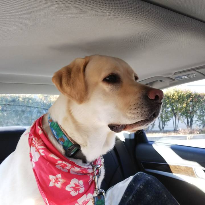 F7b62ccc a4eb 49c7 b1a6 b1bad0c320e7 1514552075876