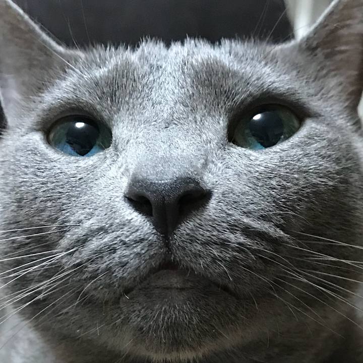 F7b63437 f5d5 4a42 bb6a 73ba3d7e5c30 1523447470850