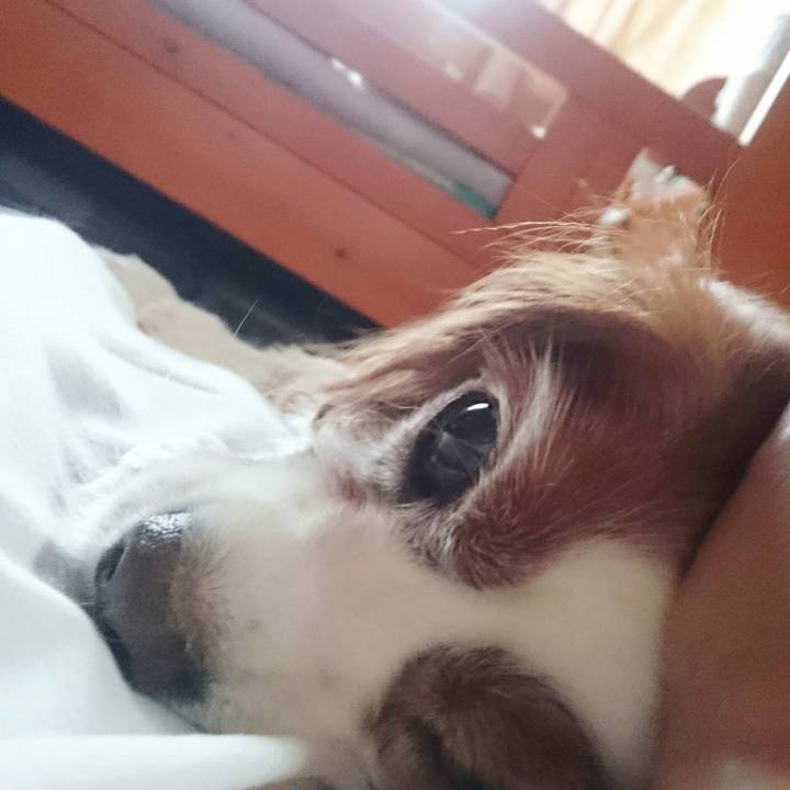 F7b63716 7e91 4b5c bbf5 9ff695d1b203 1535755827556