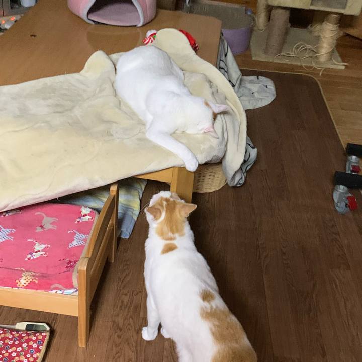 F7b67091 0031 4fe5 b3c1 0c6c34218d09 1608646637468