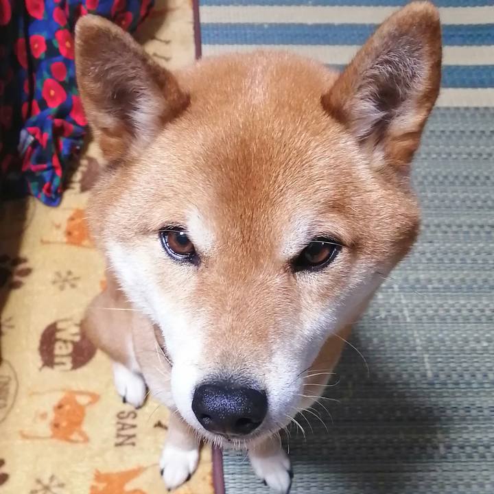 F7b6ad3d 9b4c 4a19 9875 73d7ec7fdb16 1580726241972