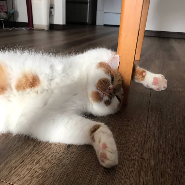 F7b6be64 ec9f 44de 93cb d87b8b0d0fca 1624174427850