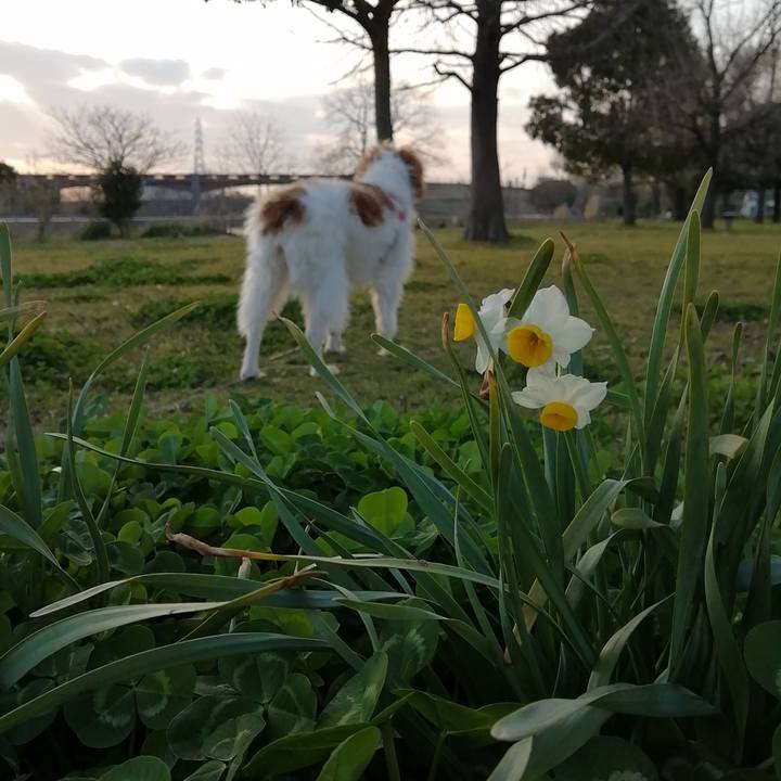 F7b6e137 7a17 4e6c b59e 4ebc43a8355b 1583148427448