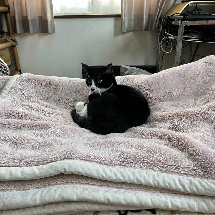 F7b75fcf 690e 47b9 9943 aed0a5a7149b 1702203752482