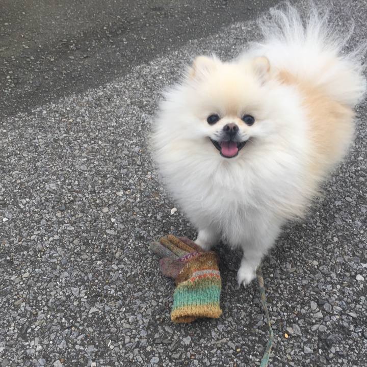 F7b7a79f 5d8e 491f b215 291387c7593c 1542524305519