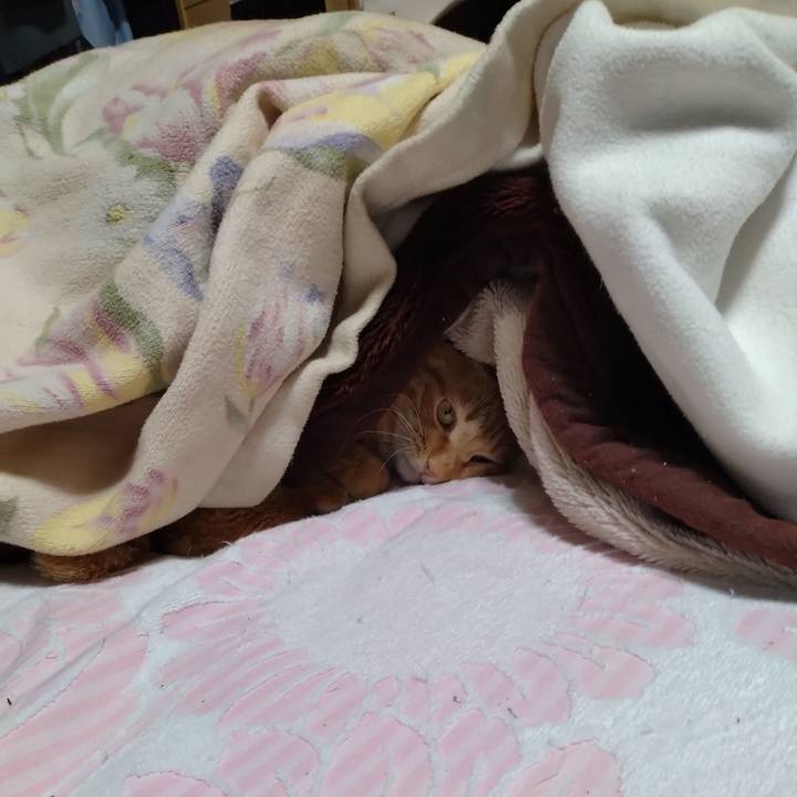 F7b7e26b a628 4ffe b513 4926768f60b6 1675576066746