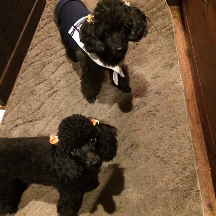 F7b80baf df74 4cdf a87f 6ad57b0c8f3d 1539265850422