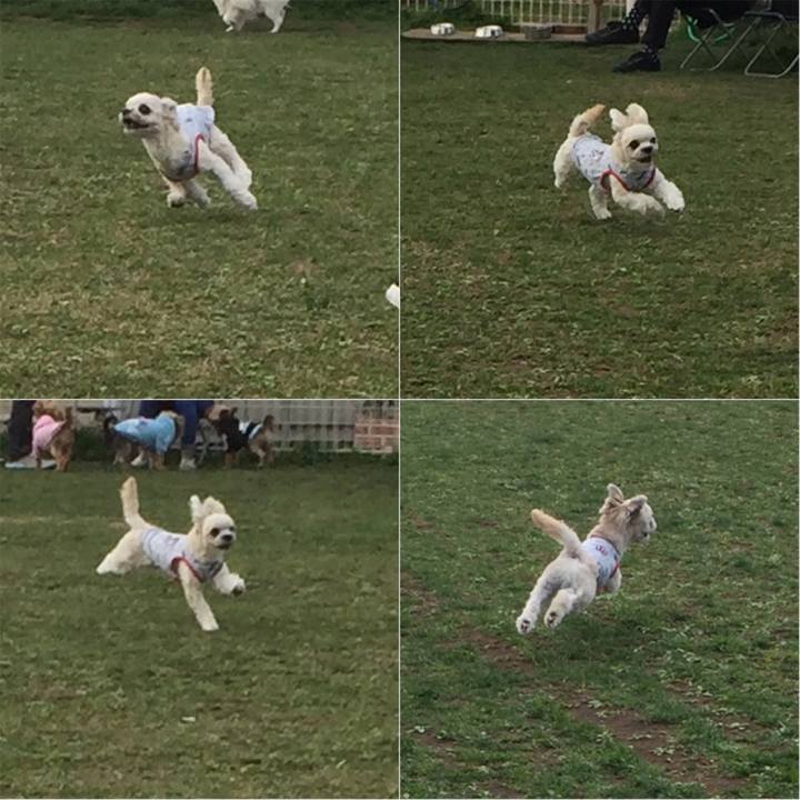 F7b8884c 0d80 44cb 9f0e 19104d4279af 1521358228925