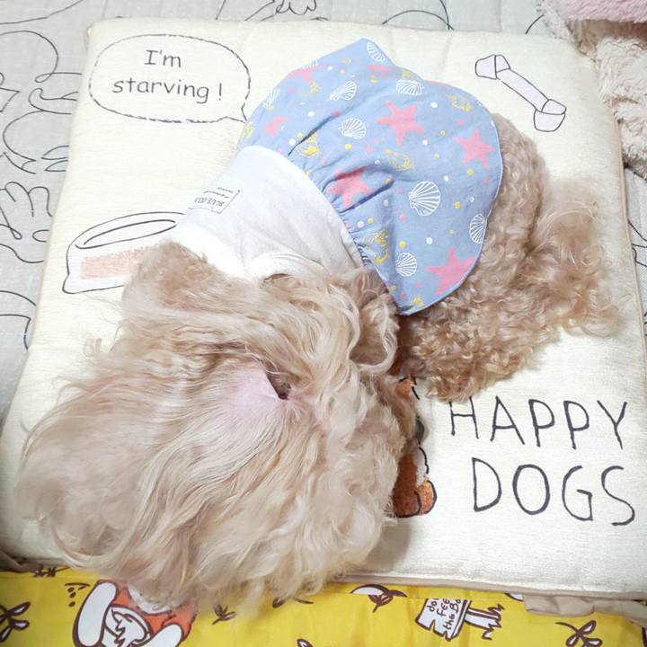 F7b8939f aaa1 459f aeae f4d294c72e1c 1591248010404