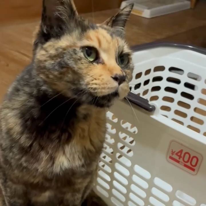 F7b8b68a 42cd 4a64 8c25 40cef32d443f 1744836317344