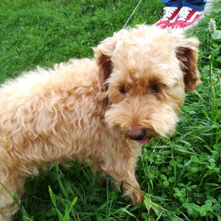 F7b8bd55 3f5f 4746 8b8f daf959123f4c 1536189195194