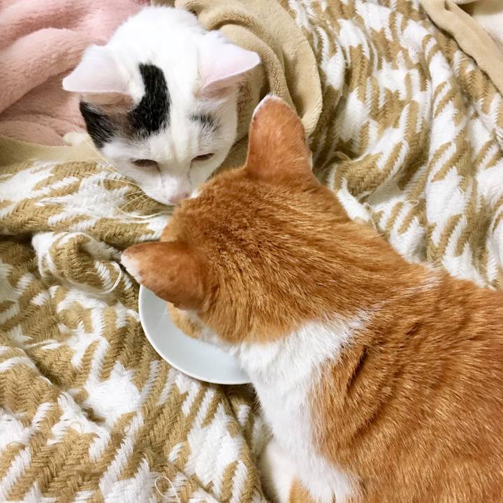 F7b8cade 94f4 48a8 afe5 190e37082879 1569567355526