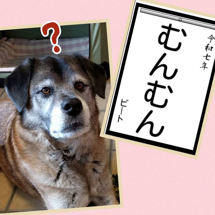 F7b8ed90 d819 4540 8d6b 252d21aea6ca 1735862506225