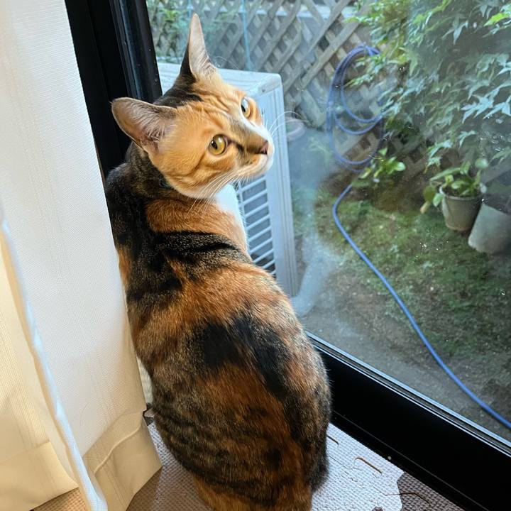 F7b95dbb cf5f 43a3 be31 193246ec7cdc 1715207513940