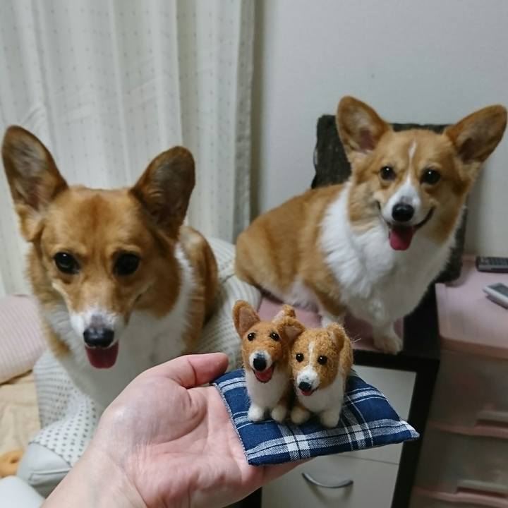 F7b97454 cf1b 4df9 9f99 3e32b02ecb4c 1532673227258