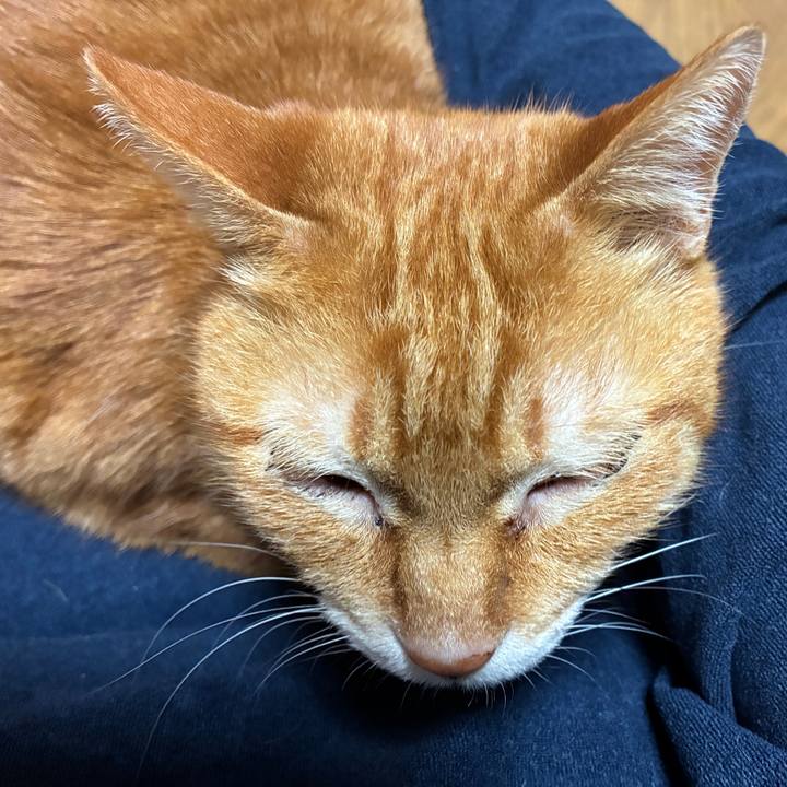 F7b98955 c9e9 4cbe 9185 020b53d8344d 1775570760676