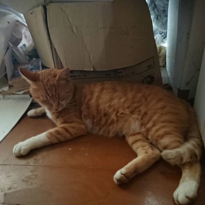 F7ba22c7 4ebf 424a 8898 34b74b8f6411 1597476482793