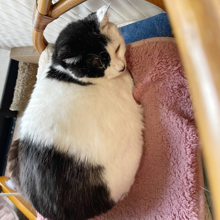 F7ba3af4 8e7c 42ff b0f1 c9191ebb261d 1768431364699