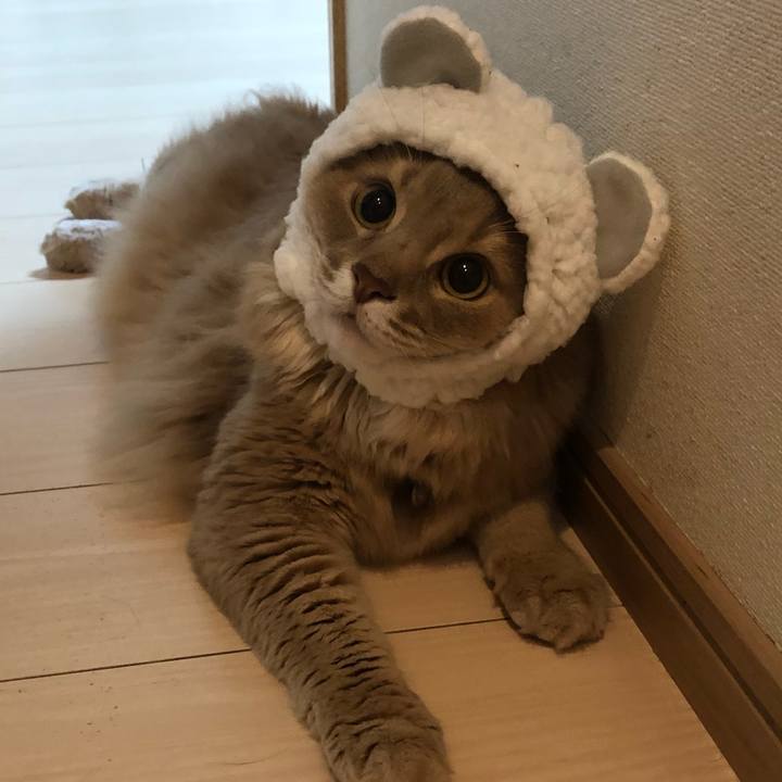 F7ba3c7d f010 4865 82d1 f8a46fba3298 1625198946931