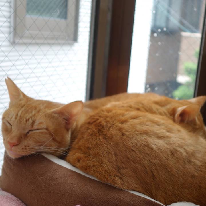 F7ba49ff a97e 4f40 b076 56de17fe0dc4 1588055214966