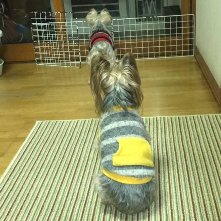 F7ba50a3 16cb 493d 9924 d7b5b1c47856 1550567925463