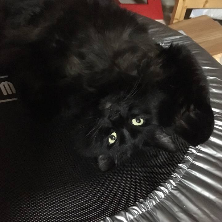 F7ba6130 6b85 441b 96b9 e62d182d6305 1514724683464