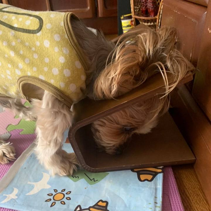 F7ba7897 e5a6 4e40 952e 39c0e50d0c8d 1663927108949