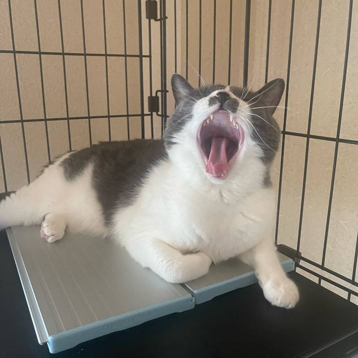 F7ba8412 9b7f 4ca6 9300 f4137dc8e694 1694734444233