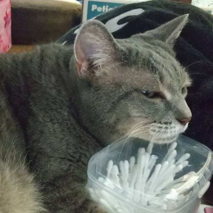 F7ba8ee6 bd2a 40b6 97c0 2f9079669c9e 1629995131338