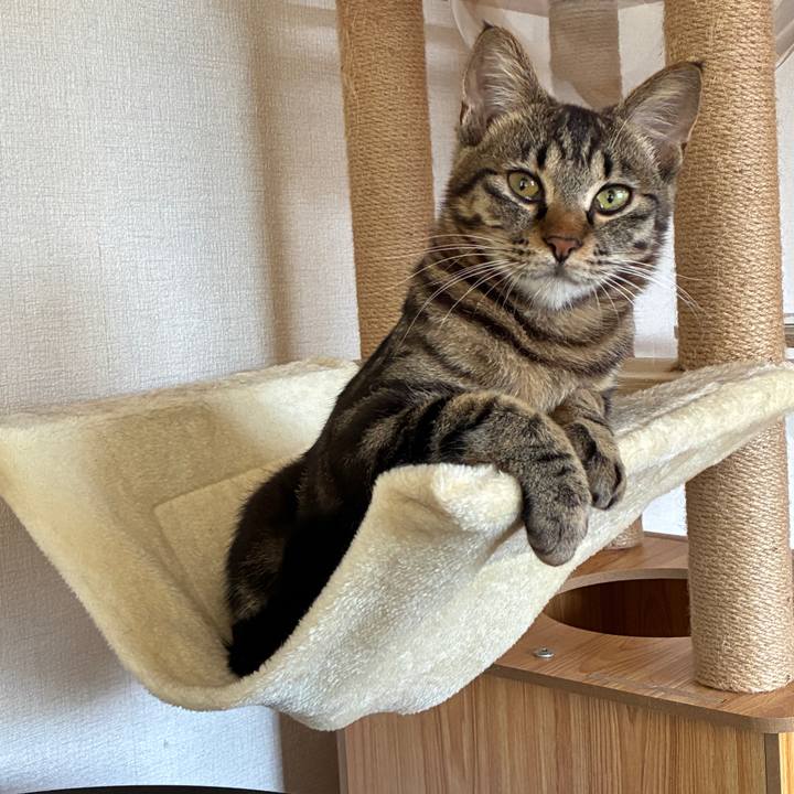 F7bac1e2 808e 4ea4 b53d c66adb56be6a 1754084084298